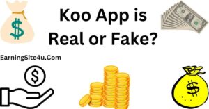 Koo App is Real or Fake?