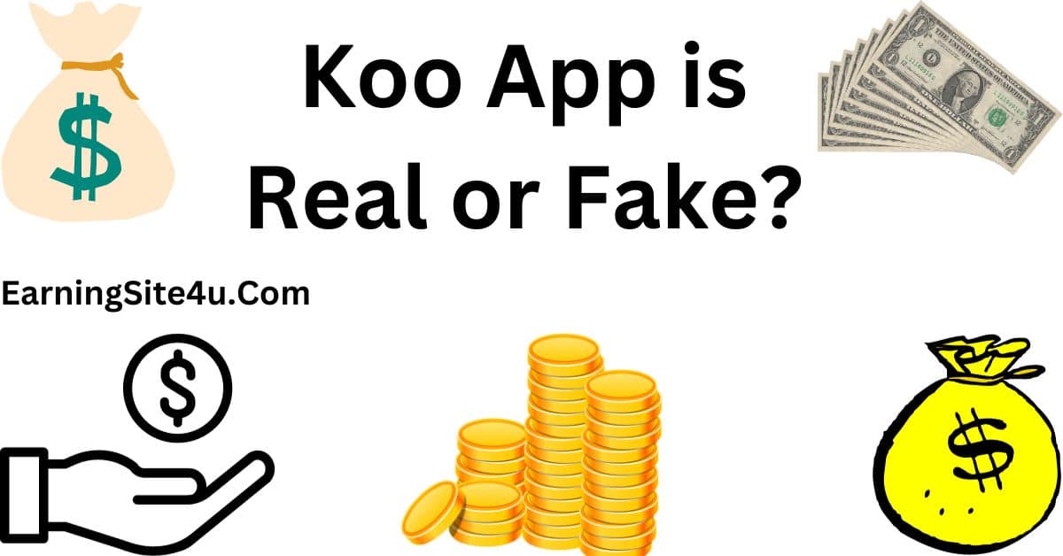 Koo App is Real or Fake?